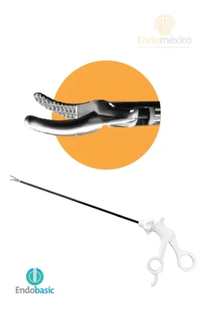 pinza-maryland-bipolar